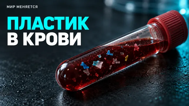 Частая ошибка при новостях о микропластике в крови: что на самом деле показало исследование